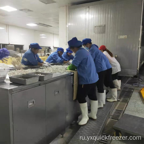 Из нержавеющей стали ремень IQF Тоннельная морозильная камера для морепродуктов